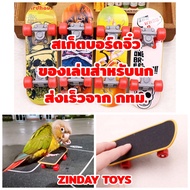 สเก็ตบอร์ดจิ๋ว ของเล่นสำหรับนก
Fingerboard​ Mini​Skate