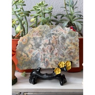 sakura agate slab ~ mineral