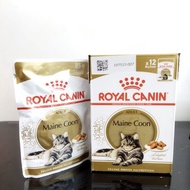 Royal Canin WET MAINECOON ADULT 85G Maine coon pouch Makanan Basah