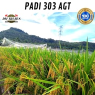 Benih Bibit Padi 303 AGT