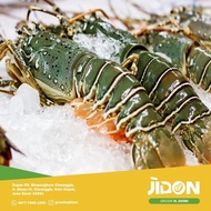 JUAL LOBSTER LAUT 1kg