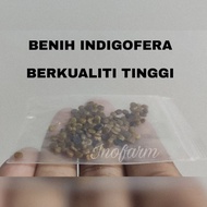 Benih pokok indigofera berkualiti tinggi (+-50biji) / indigofera seed