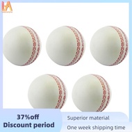 Sports Cricket, Training Cricket, Sports Wind Swing Rebound  Cricket, Elastic Decompression Ball
