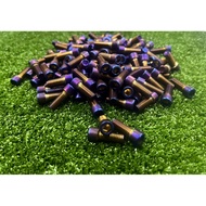 M8 HEX Titanium Screw Ti Screw