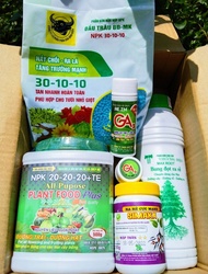 BỘ 5 SẢN PHẨM BẬT CHỒI RA RỄ CỰC MẠNH CHO CÂY KIỂNG GỒM: Gói 1KG Phân bón hỗn hợp NPK Đầu trâu 30-10