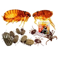 E8000 Heart Worm / Mange / Tick & Flea Control (Dog & Cat) 10 Tablets (1 Box)