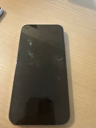 iPhone 13 Pro Max 256G