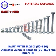 M20 White Bolts 50 to 150mm long