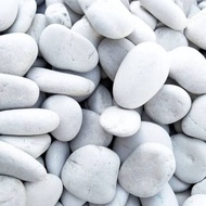 White Coral Decorative Stone Kupang Coral Stone Aquarium Decorative Stone Decorative White Coral Sto