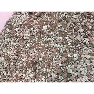 [ SG READY STOCK ] 1kg Peat Moss Succulent soil cactus soil peat and stones mix medium potting mix s