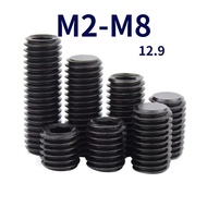 12.9 Grade Hexagon Socket Headless Screw Flat End Machine Meter Screw M2/M2.5/M3/M4/M5/M6/M8 [FKY-G]