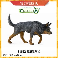 CollectA Animal Model Cat Dog Series Collection Realistic Animal Toys Cognitive Learning Toys for Ch