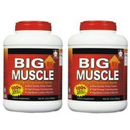 (兩桶優惠區) BNS  大肌肉 台北健身院熱賣高熱量乳清蛋白，增重大容量8磅(非BSN)