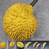 【SUFA】Artificial Fruits Durian Model Simulation Food Early Educational Toy Photo Prop
