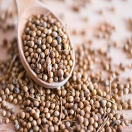 (100 gr) SEED CORIANDER Original Coriander Seed/