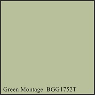 Nippon Paint Easywash & Weatherbond ( Interior & Exterior ) (Indour & Outdoor) Colour Code : Green M
