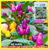 40เมล็ด พริกประดับเจ็ดสี (Rainbow Chilli Pepper Seeds) - ผลผลิตสูง เมล็ดพันธุ์พริก7สี เมล็ดพริกสีรุ้ง Hot Pepper Chilli Seeds Organic Vegetable Seeds Chili Plant บอนสีหายาก เมล็ดบอนสี บอลสีชนิดต่างๆ บอนสีหายากไทย ของแต่งบ้าน ต้นไม้มงคล บอนไซ กล้วยด่าง