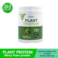 ส่งฟรี ของแท้ MERRY Plant Protein Green Tea 1050 g. เมอร์รี่ แพลนท์ โปรตีน กลิ่นมัทฉะชาเขียว