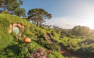 Hobbiton Movie Set, Waitomo Caves & Kiwi House Small Group Tour