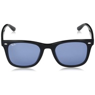RB4391D Unisex Casual Sunglasses - Asian Design