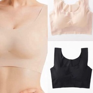 PANACHE Seamless Sleeping and Daily Bra, Push Up Breathable Bra - BLACK, L 36