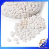 [Stock Clearance] 25gram Small White Pebble Stone (0.5-1cm) Decorative Stones Fish Aquariums Plant Gravel Landscaping