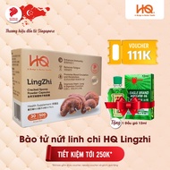 Lingzhi HQ Singapore Spores mushroom spores tablets for enhance immunity and comprehensive health - 1 box