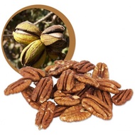 Raw Pecan Beans / Raw Pecan Nuts 100gr