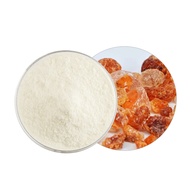 Gum Arabic In Stock Food Grade Gum Arabic Gum Arabic Powder