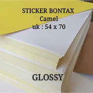 GLOSSY STICKER / MIRROR STICKER / GLOSSY PLANO CAMEL STICKER 54 CM X 70 CM