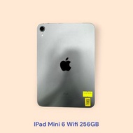 IPad Mini 6 Wifi 256GB