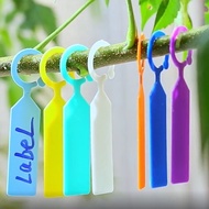 Plant Hanging Tag/Plant Hanging Label/Penanda Pokok/Plant Tag : Plastic HangingPlant Label Markers植物悬挂式标签牌子 标签 牌子 植物标签