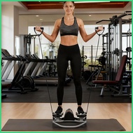 Exercise Stepper Portable Twist Motion Leg Exerciser Rock Fitness Stepper for Exercise for Glutes Ab