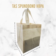HBPA Cake Box Spunbond Bag 22x22 Goodie Bag Shopping Bag Gift Bag