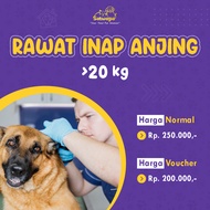 20KG Dog Inpatient Services Only at Pets