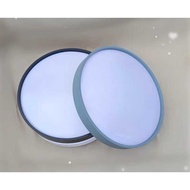 2025 Ceiling mount LED Light