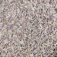Cumin (Cumin).