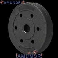 AMUNDR Barbell Weight Plate, Weight Marked Round Shape Cast Iron Weight Plate, Solid Coated Surface 
