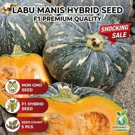Benih Labu Manis F1 Hybrid/Pumpkin F1 Hybrid Seeds