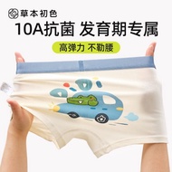 Herbal Primary Color Boy's Underwear Pure Cotton Antibacterial Boy Baby Boxer Children's Boy's Boxer