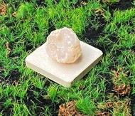 瑪瑙白晶洞開口笑 可愛貝殼造型 招財開運 風水小物 快速出貨