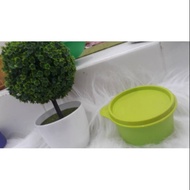 Tupperware Small Container