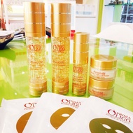 prima oligo gold set