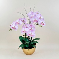 Akara Dokmaii Artificial Orchid Pot Flower Decoration