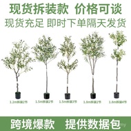 Simulation Olive Tree Ready Stock Foreign Trade Olive Tree Supply Olive Tree Cross-Border Potted Pla