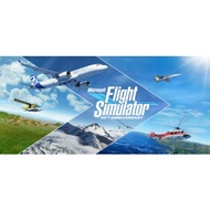 Microsoft Flight Simulator 2020
