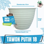 Pot Tawon Putih Ukuran  Pot Tanaman Hias Minimalis Budi Jaya Asli Pot Tawon Tanaman Bunga Putih Pot 