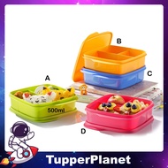 Tupperware Lollitup / Kids Lunch Box 500ml