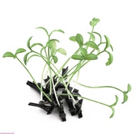 sweety Bean Sprout Hair Clips Funny Bangs Duckbill Clip Fashion Hair Styling Tool