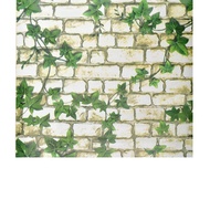 5m Pre-glued wallpaper, size 45cm, beautiful white brick vines